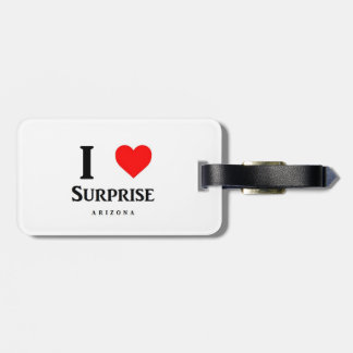 i love surprise luggage tag