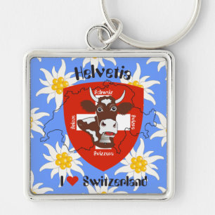I love Switzerland porte-clés