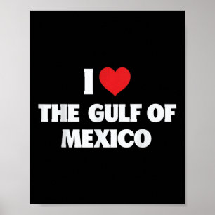 I Love The Gulf Of Mexico Usa Funny Meme Poster