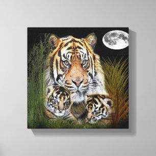 I love Tigers Canvas Print
