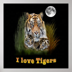 I love Tigers Poster