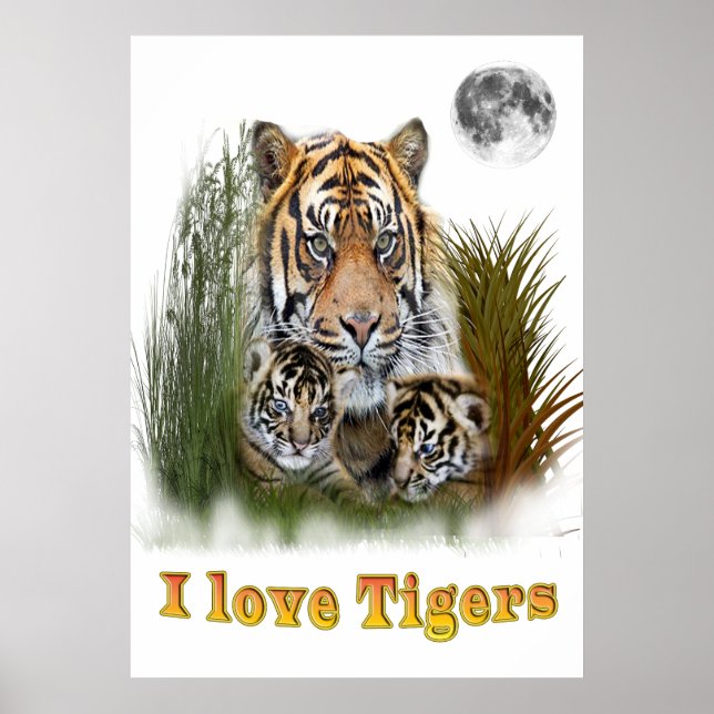 I love Tigers Poster (Front)