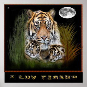 I love tigers posters