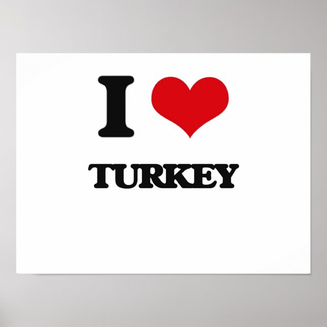 I Love Turkey Poster (Front)