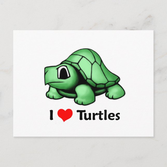 I love Turtles Postcard (Front)