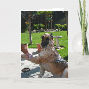 I Love Us German Shepherd Anniversary Card