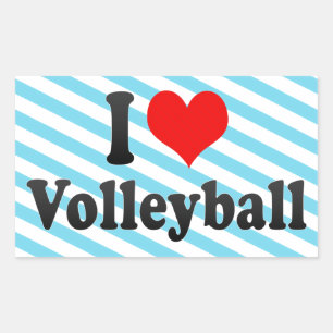 I love Volleyball Sticker