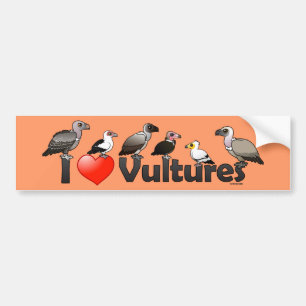 I Love Vultures (Africa) Bumper Sticker