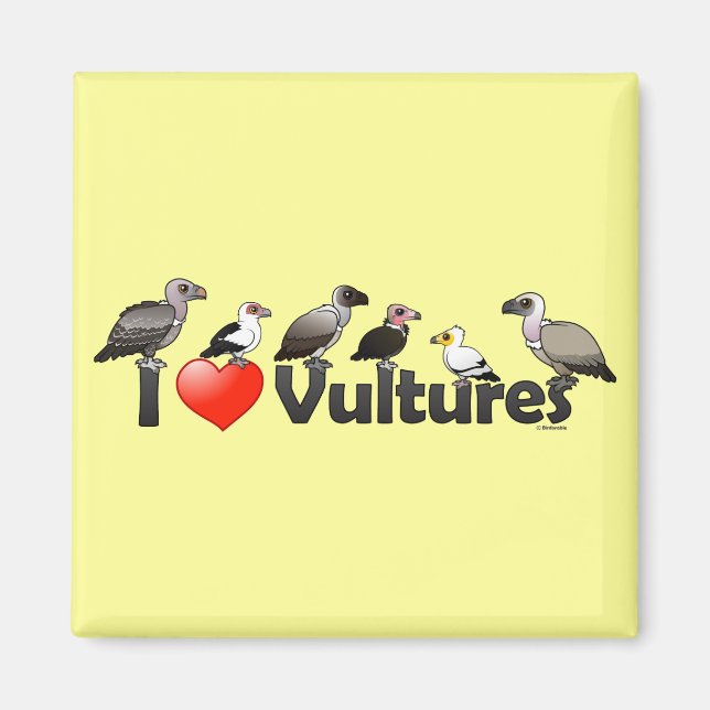 I Love Vultures (Africa) Magnet (Front)