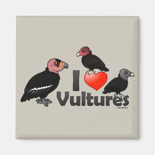I Love Vultures (North America) Magnet