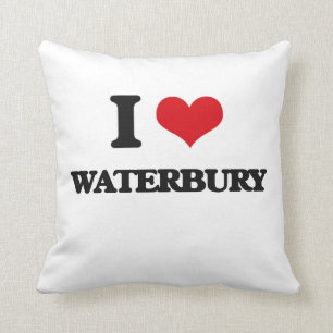 I love Waterbury Throw Pillow