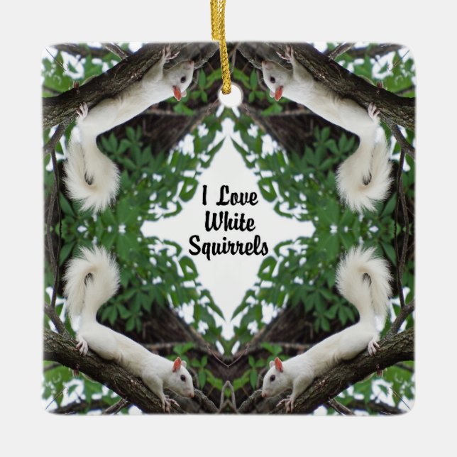 I Love White Squirrels Ceramic Ornament (Front)