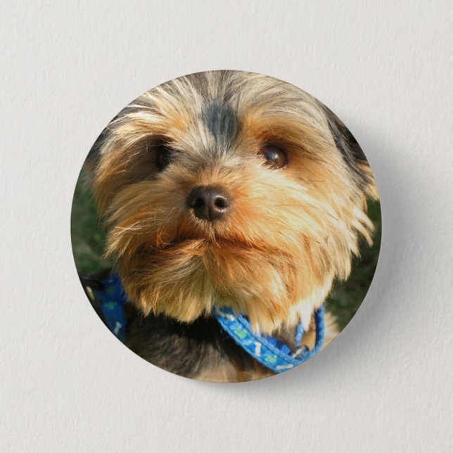 I Love Yorkies 2 Inch Round Button (Front)