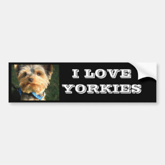 I Love Yorkies Bumper Sticker