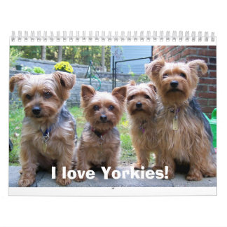 I love Yorkies! Calendar