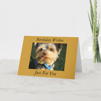 I Love Yorkies Card