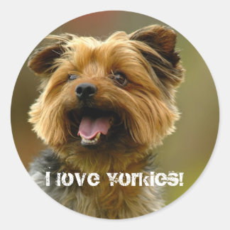 I love Yorkies! Sticker