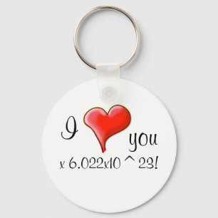 I love you 6.022x10^23! keychain