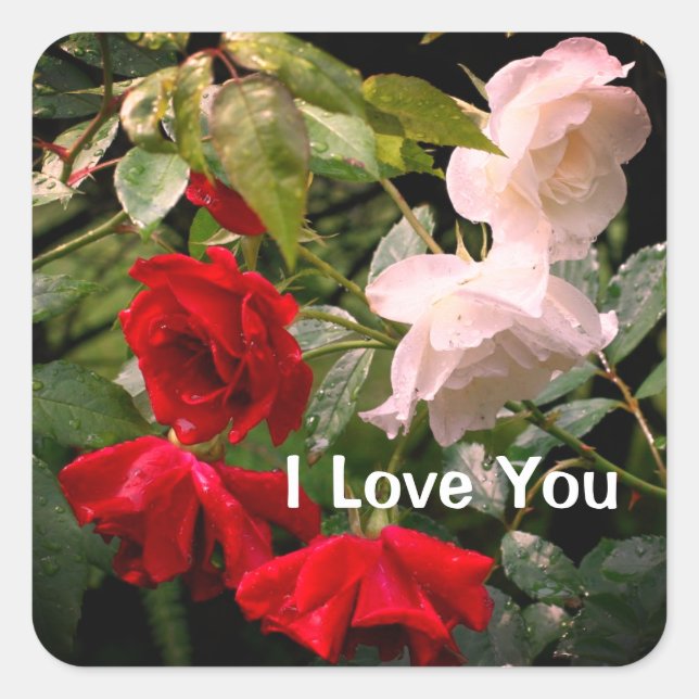 I Love You Drenched Roses Floral Square Sticker (Front)