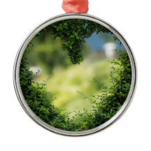 I Love You - Heart Foliage for Valentines Day