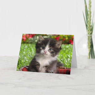 I Love You Just The Way You Are Holiday Card