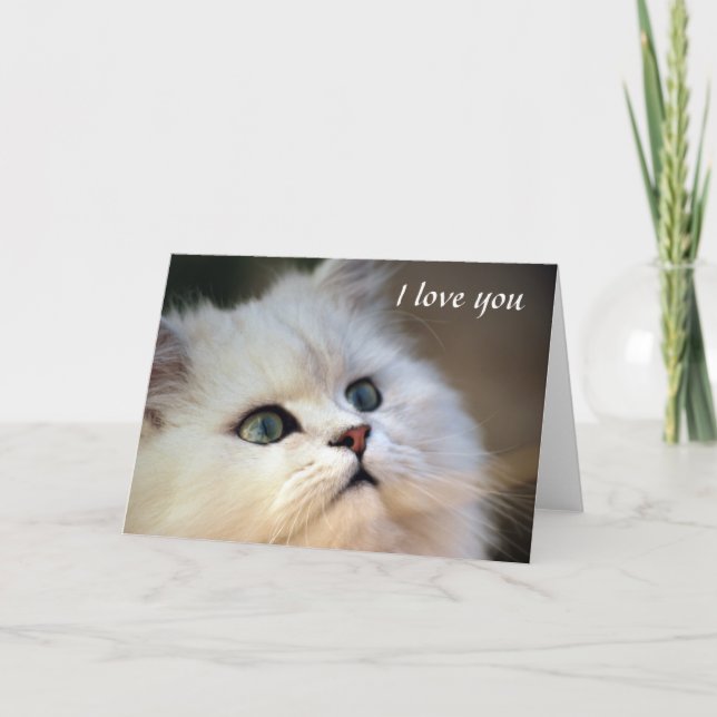 i love you - Kitten Holiday Card (Front)