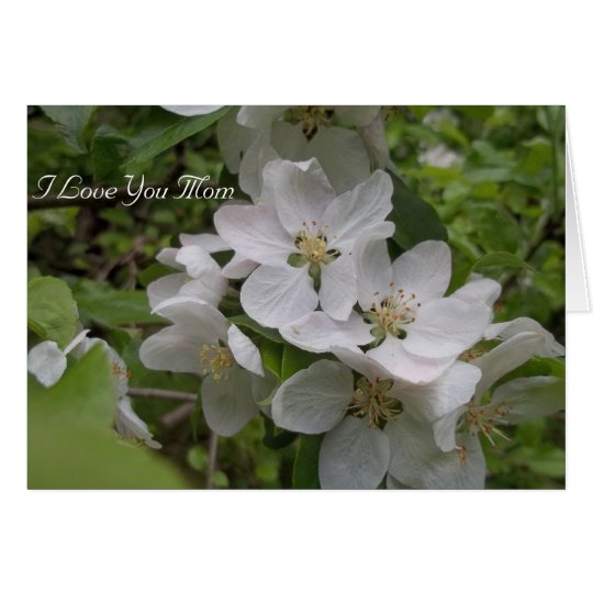 I Love You Mom Card