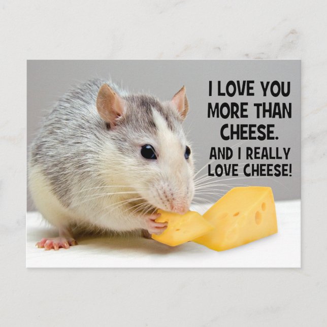 I Love You More Than Cheese Pet Rat Postcard (Front)
