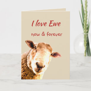 I love You Now Forever Sheep Animal Humour Thank You Card