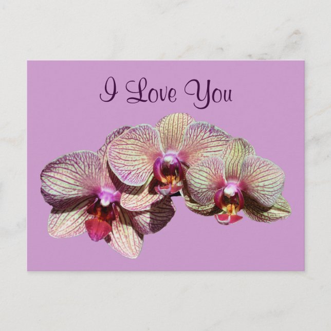 I Love You Orchid Trio Flower Photo Carte postale (Devant)