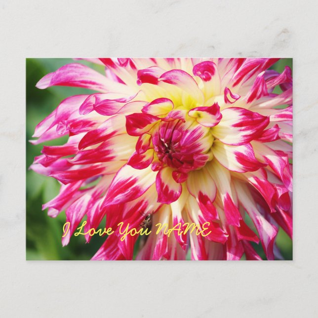 I Love You Postcard (Front)