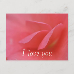 I Love You Postcard