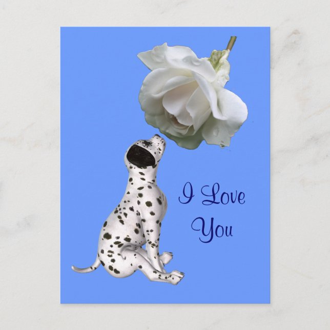 I Love You Puppy Rose Carte postale Photo (Devant)