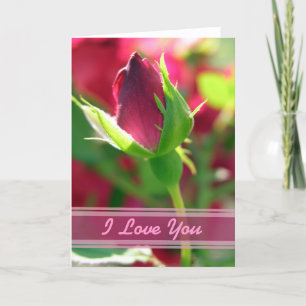 I love you red rose bud card