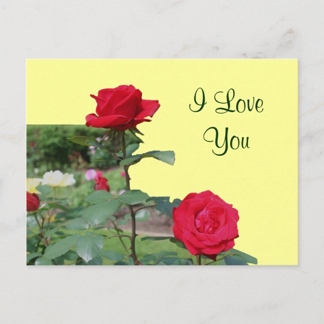 I Love You Red Roses Flower Photo Carte postale (Devant)