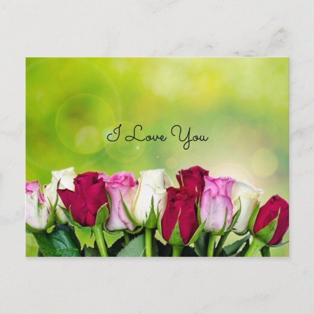 I Love You, Rose Garden Design Postcard (Front)