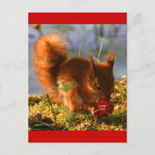 I Love You Strawberry Postcard