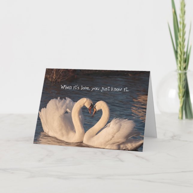I Love You Swan Heart Anniversary Card (Front)