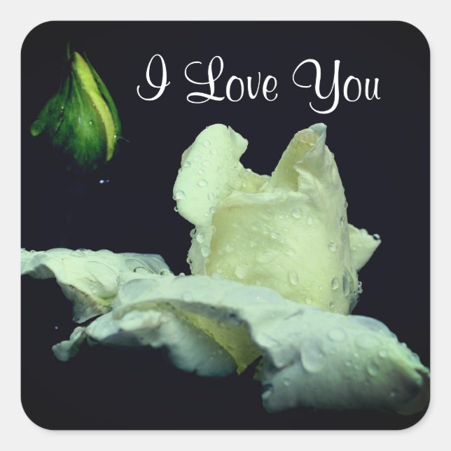 I Love You White Rosebud Flower  Square Sticker (Front)