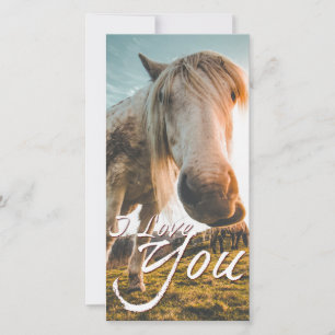 I love you with looking Horse