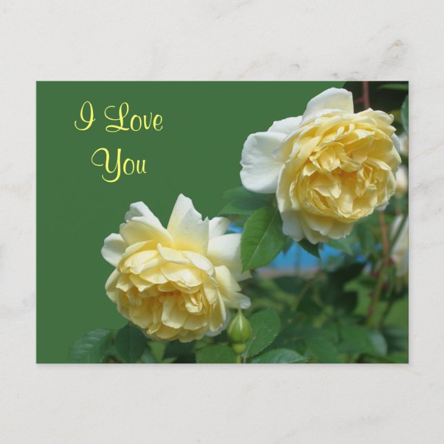 I Love You Yellow Roses Flower Photo Carte postale (Devant)