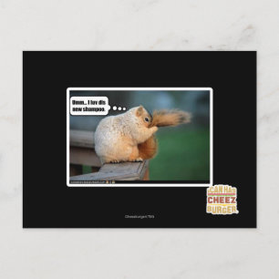 I luv dis new shampoo postcard