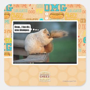 I luv dis new shampoo square sticker