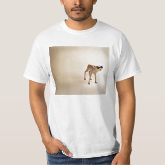 I´m better looking than you. T-Shirt