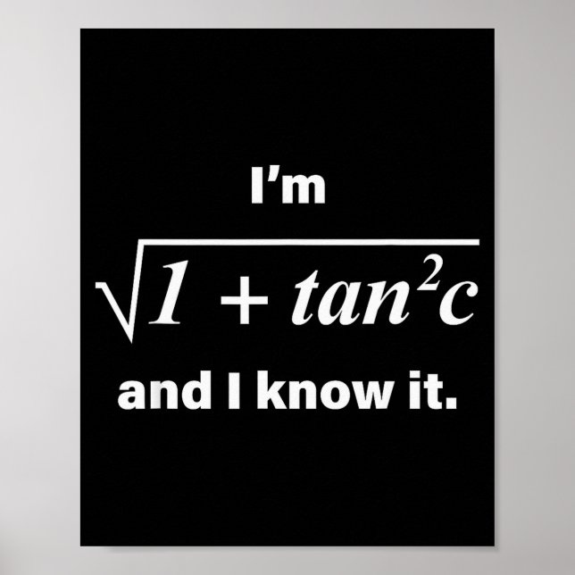 I’m Sec C And I Know It Funny Math Pun Math Lover  Poster (Front)