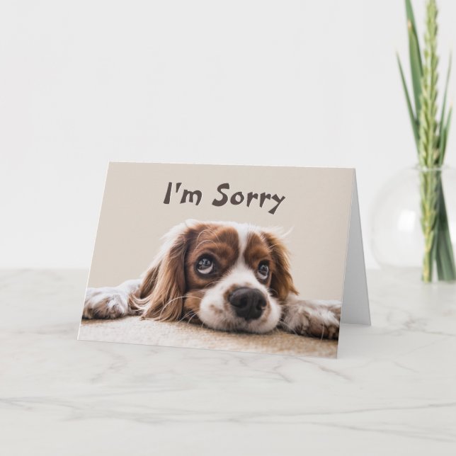 I’m Sorry Please Forgive Me Card (Front)