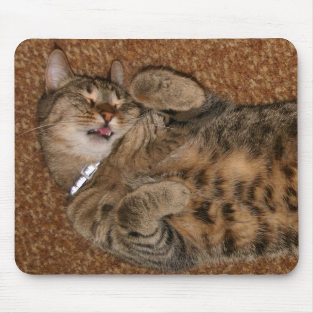I',m such a cute cat mouse pad (Front)