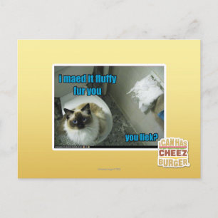 I maed it fluffy fur you postcard