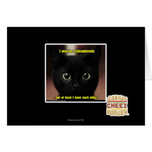 I may be schizophrenic