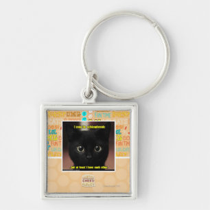 I may be schizophrenic keychain